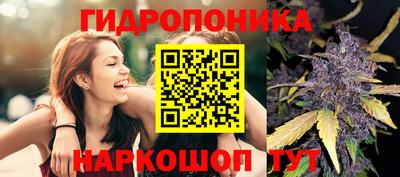 трава Северобайкальск