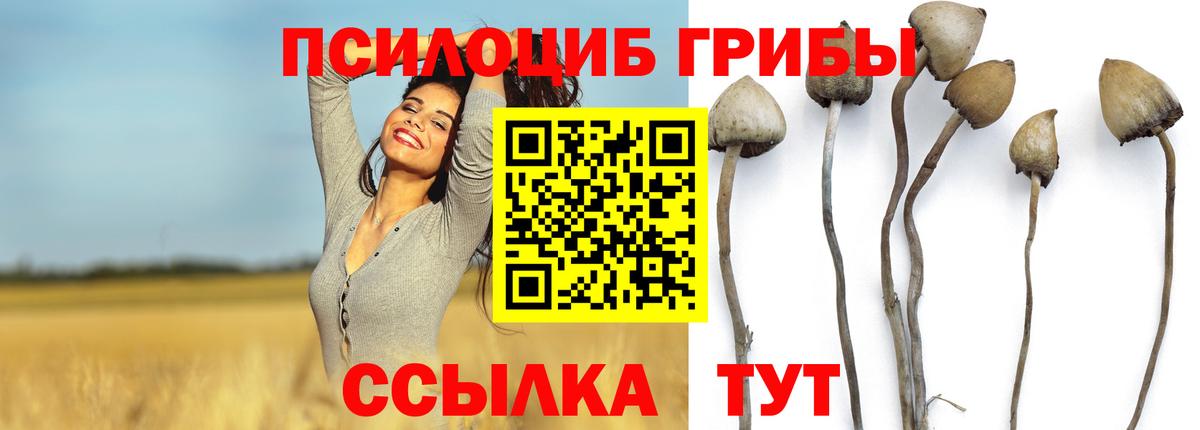 Псилоцибиновые грибы Magic Shrooms Нальчик